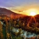 Matías Pellegrín avatar